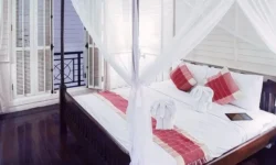 Europe by Rail: Scenic Train Routes for the Ultimate Journey