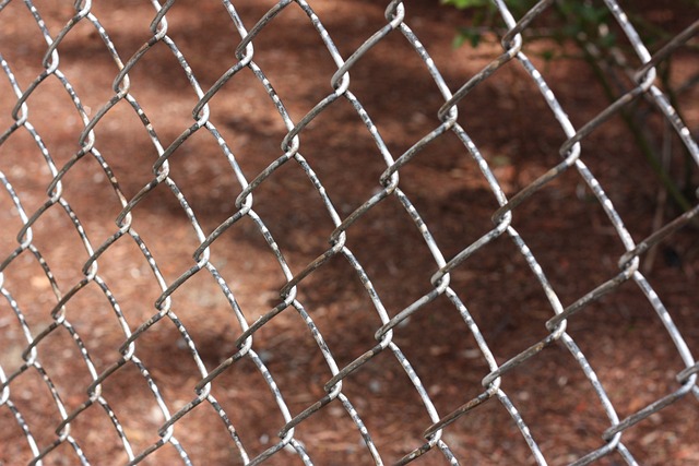 Security Fencing