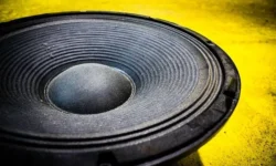 Before Buying Your First Serious Speaker
